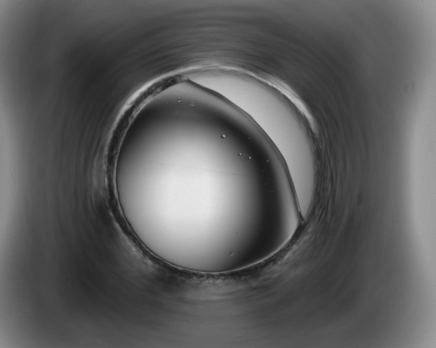X0000085020972200703121539