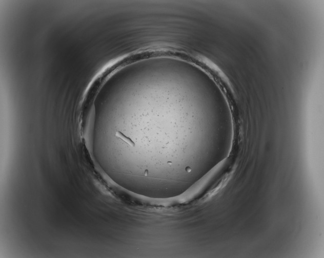 X0000085020973200703121539
