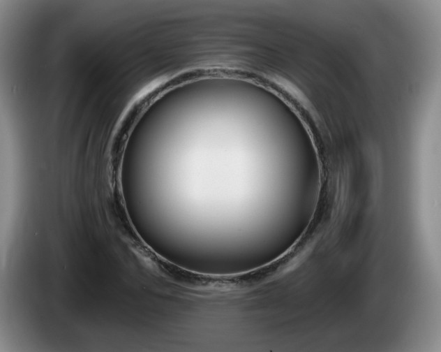 X0000085020974200703121539
