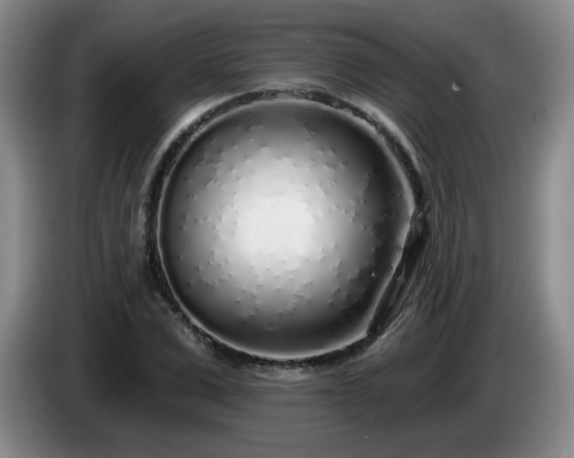 X0000085020975200703121539