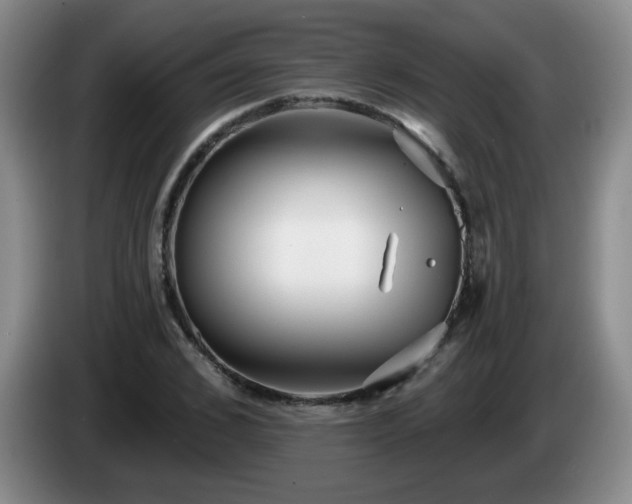 X0000085020976200703121539
