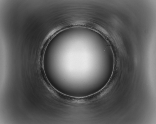 X0000085020978200703121539