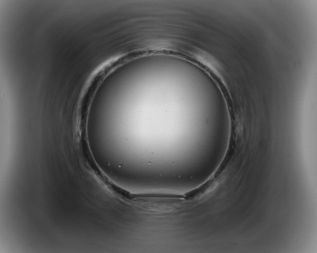 X0000085020979200703121539