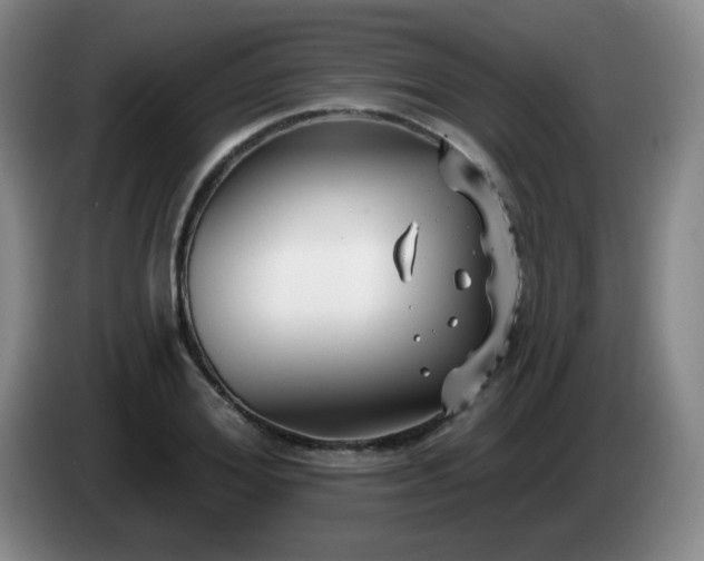 X0000085020980200703121539