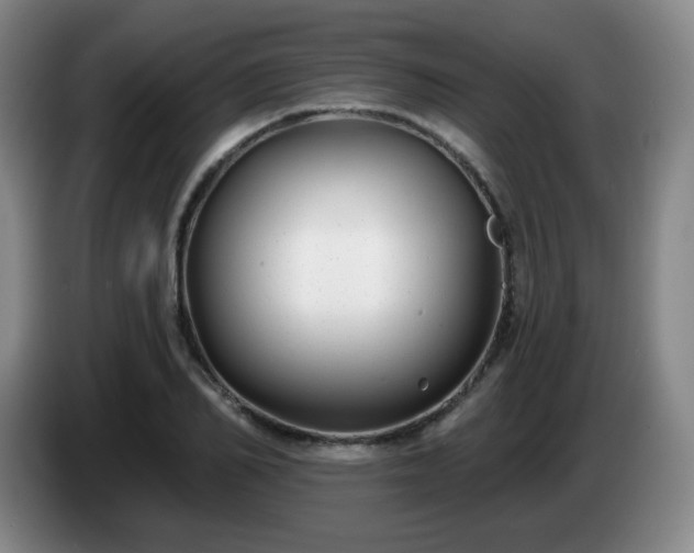 X0000085020982200703121539