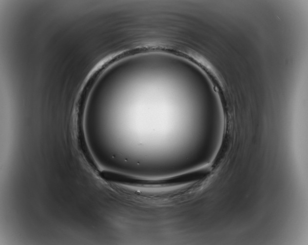 X0000085020983200703121539