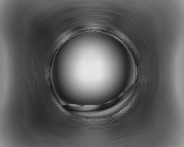 X0000085020985200703121539