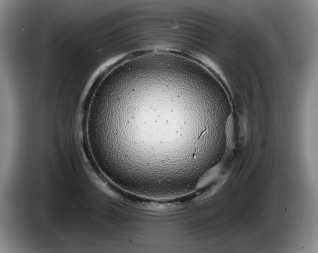 X0000085020987200703121539