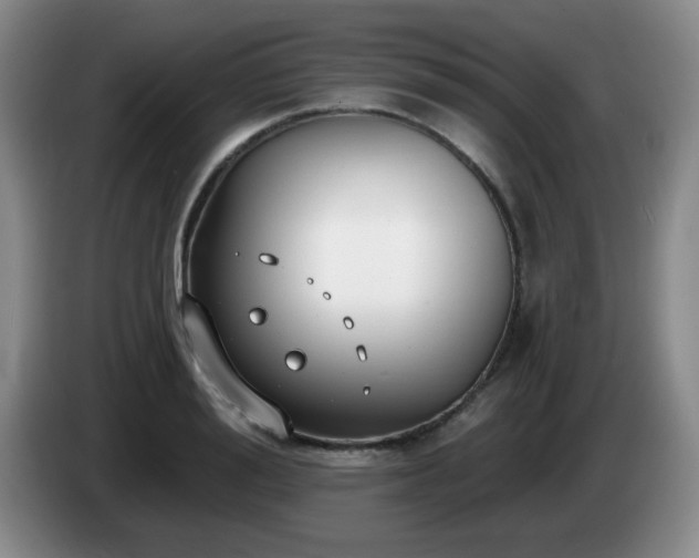 X0000085020988200703121539