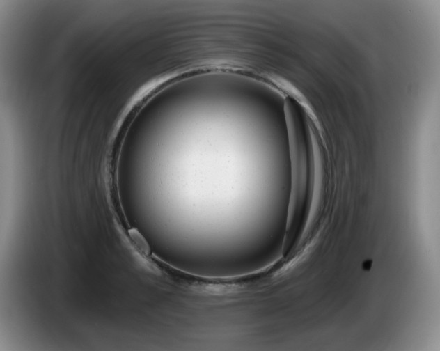 X0000085020989200703121539