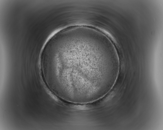 X0000085020990200703121539
