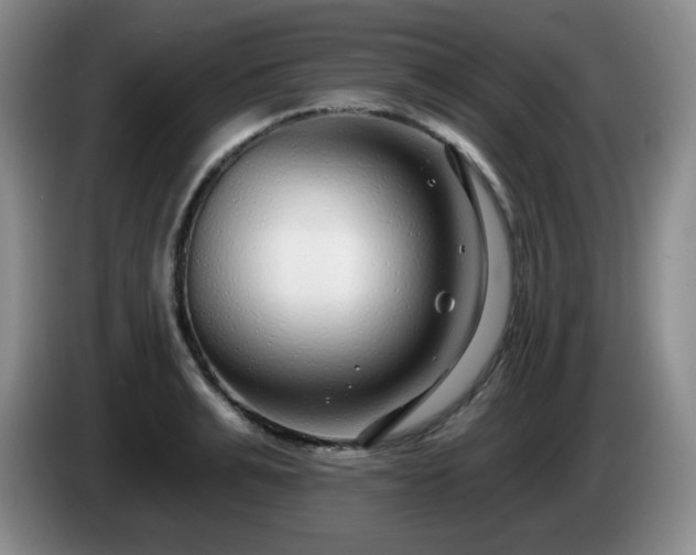 X0000085020991200703121539