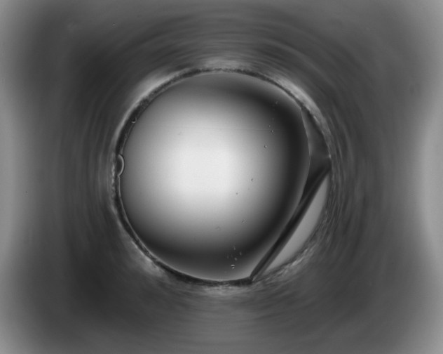 X0000085020992200703121539