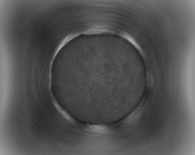 X0000085020994200703121539