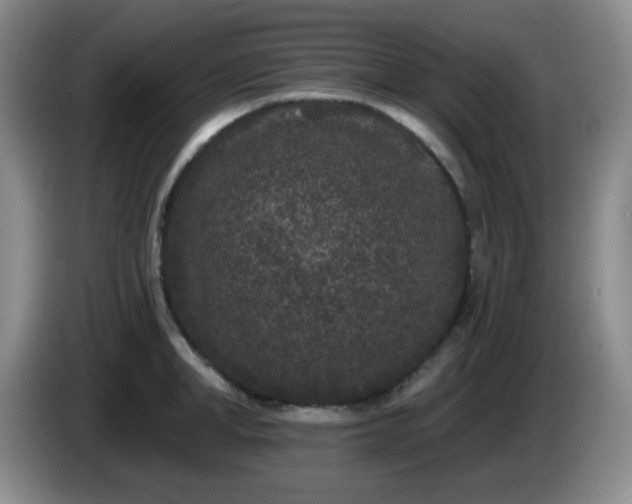 X0000085020998200703121539