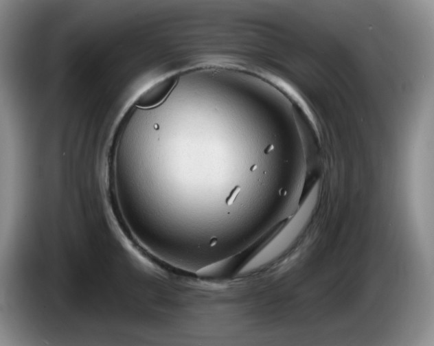 X0000085020999200703121538