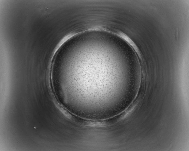 X0000085021002200703121538