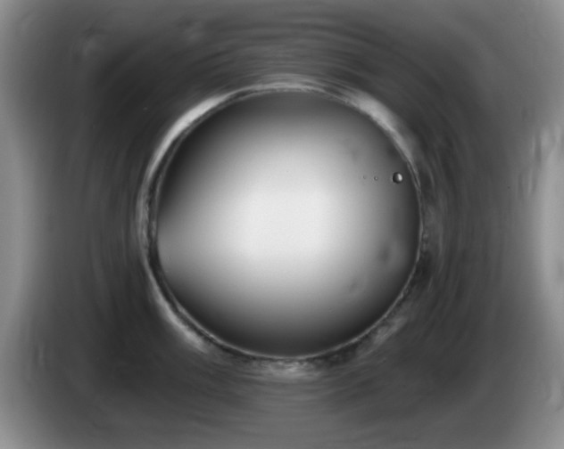 X0000085021003200703121538