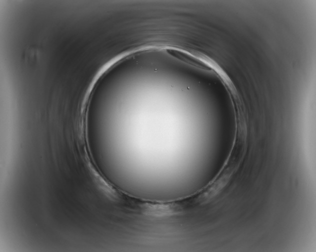 X0000085021004200703121538