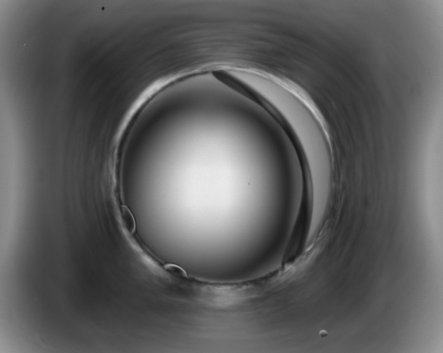 X0000085021005200703121538