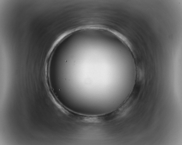 X0000085021006200703121538