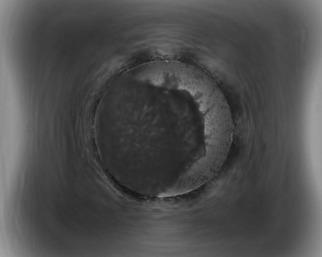 X0000085021009200703121538