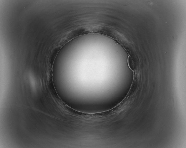X0000085021012200703121538