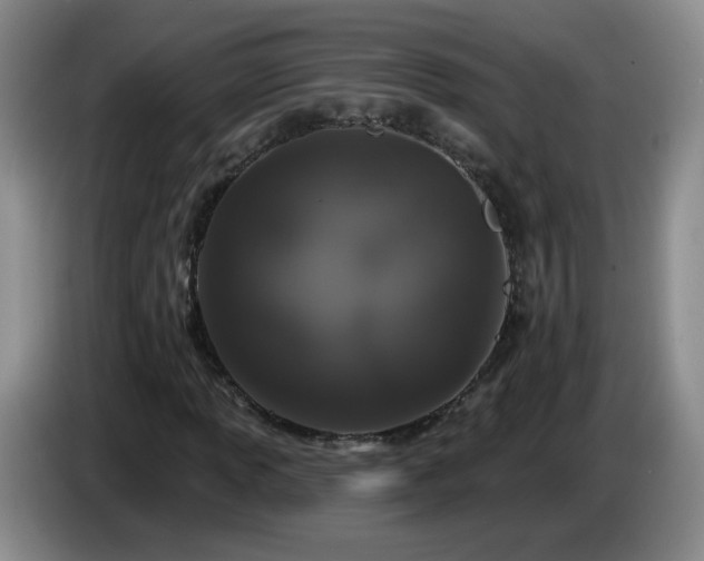 X0000085021013200703121538
