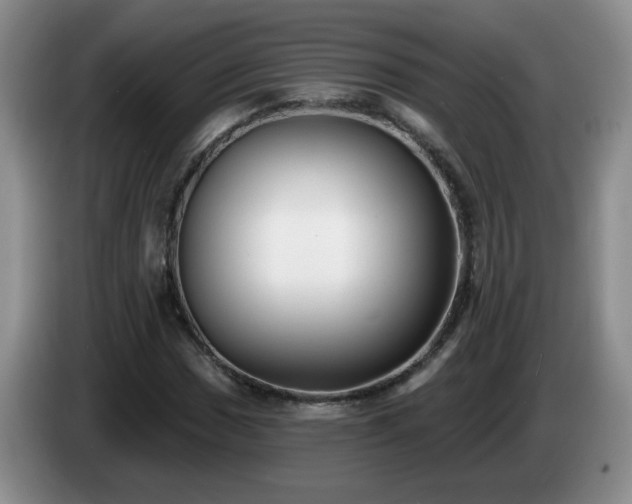 X0000085021017200703121538
