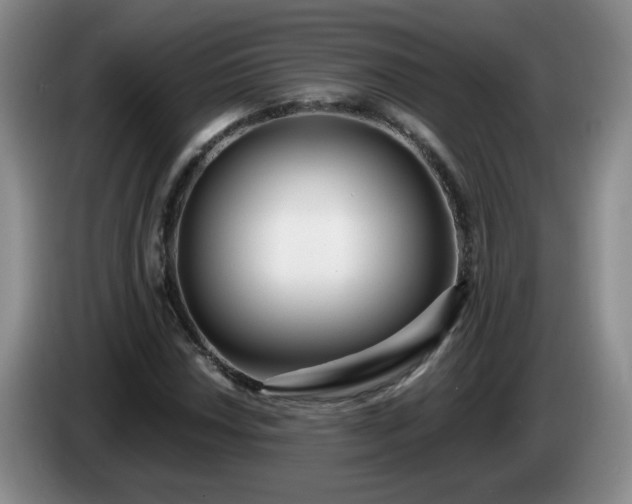 X0000085021018200703121538