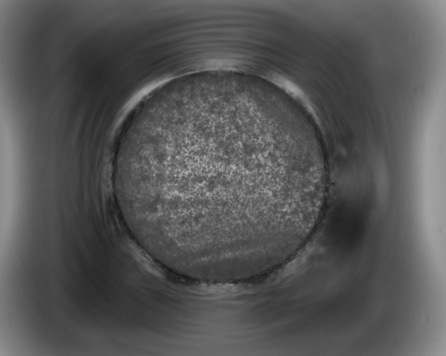 X0000085021019200703121538