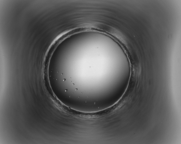 X0000085021020200703121538
