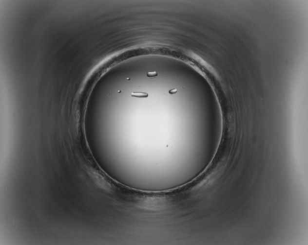 X0000085021021200703121538
