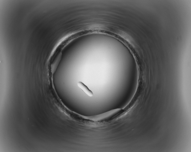 X0000085021022200703121538