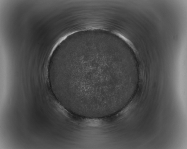 X0000085021023200703121538