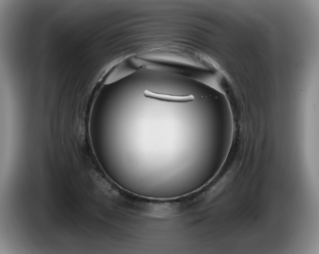 X0000085021025200703121538