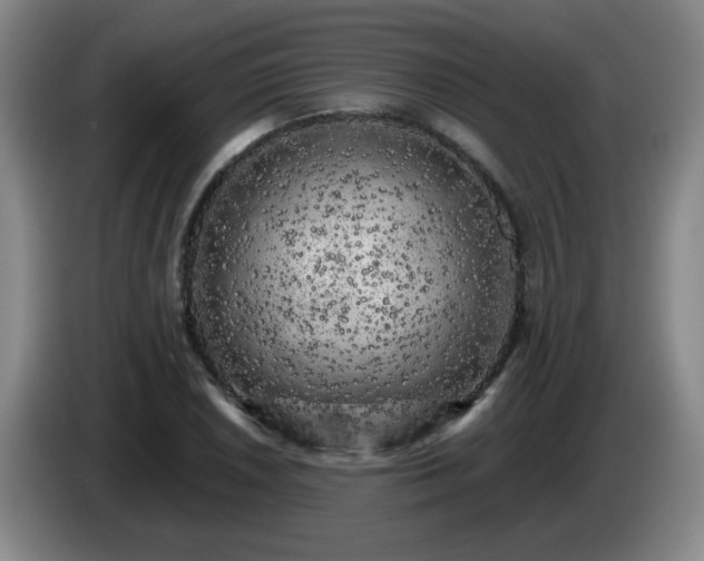 X0000085021026200703121538