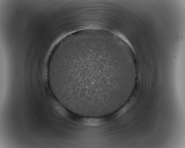 X0000085021027200703121538