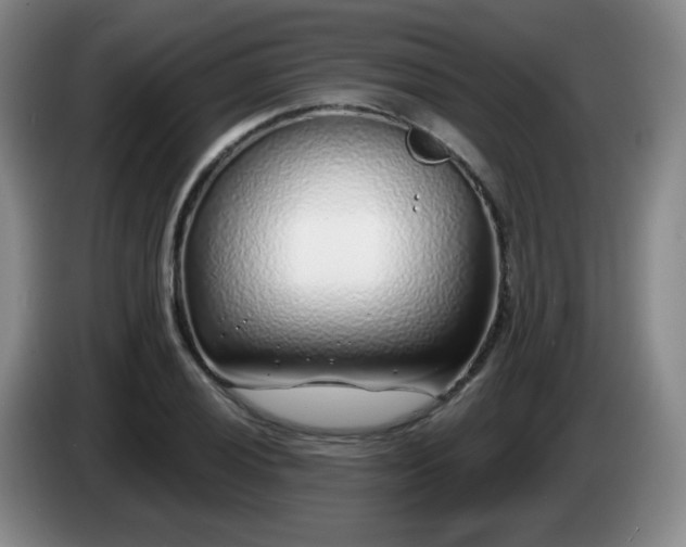 X0000085021028200703121538