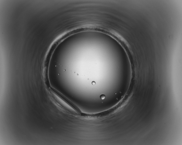 X0000085021029200703121538