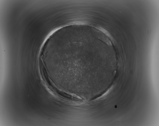 X0000085021030200703121538