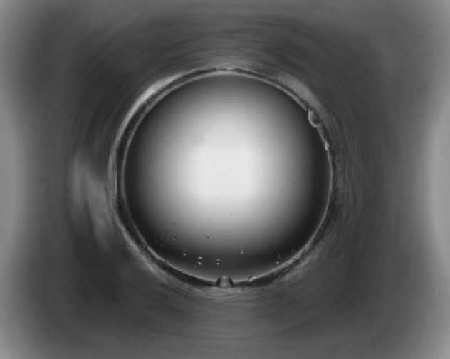 X0000085021032200703121538