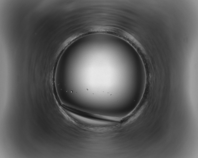X0000085021033200703121538