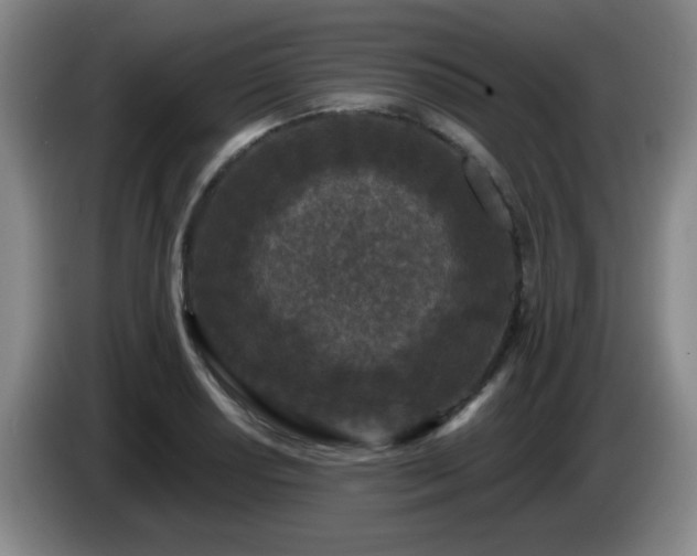 X0000085021034200703121538