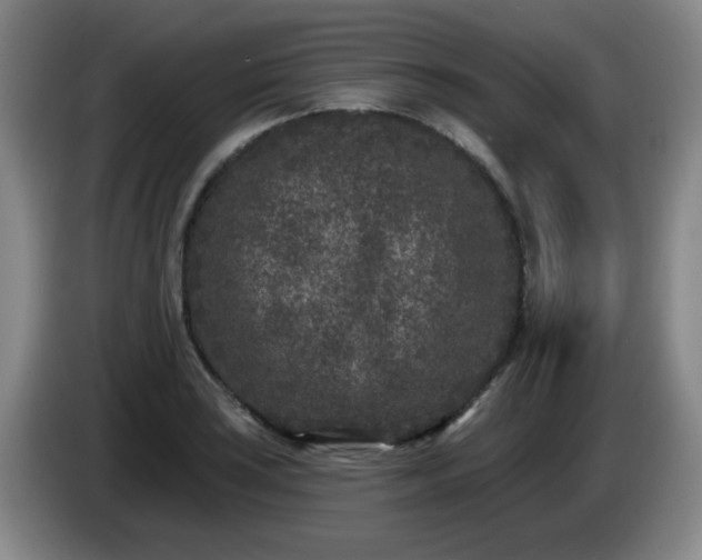 X0000085021035200703121538