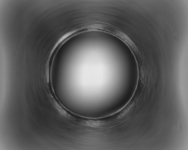 X0000085021036200703121538