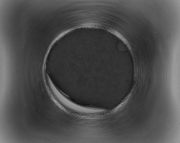 X0000085021037200703121538