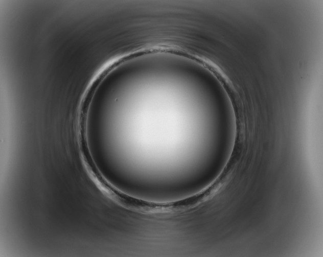 X0000085021038200703121538