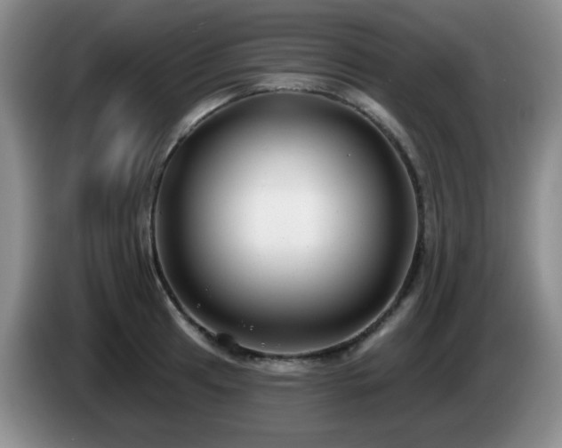 X0000085021041200703121538