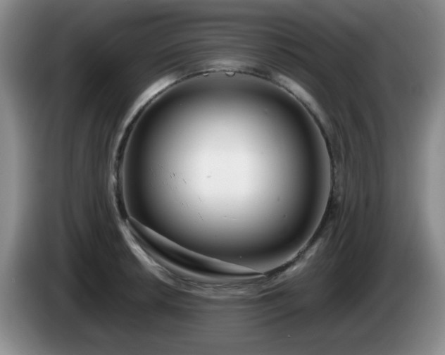 X0000085021042200703121538